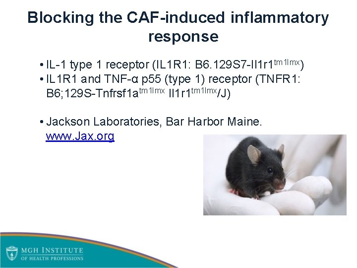 Blocking the CAF-induced inflammatory response • IL-1 type 1 receptor (IL 1 R 1: