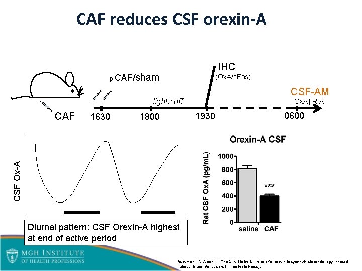 CAF reduces CSF orexin-A ip CAF/ IHC sham (Ox. A/c. Fos) CSF-AM lights off