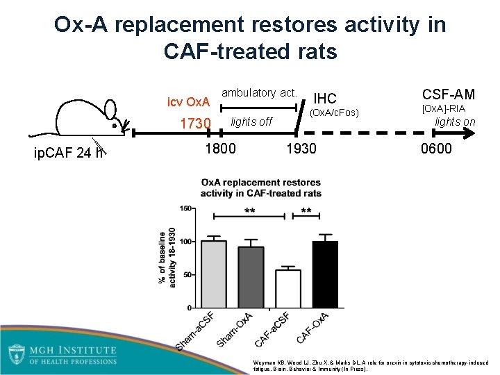 Ox-A replacement restores activity in CAF-treated rats icv Ox. A 1730 ip. CAF 24