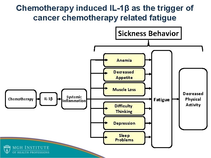 Chemotherapy induced IL-1β as the trigger of cancer chemotherapy related fatigue Sickness Behavior Anemia