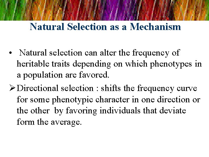 Natural Selection as a Mechanism • Natural selection can alter the frequency of heritable