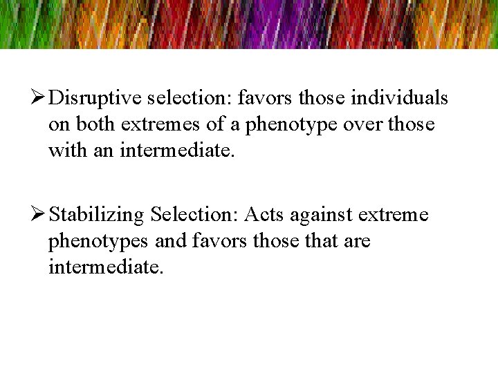 Ø Disruptive selection: favors those individuals on both extremes of a phenotype over those