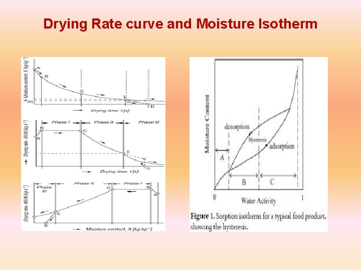 Drying Rate curve and Moisture Isotherm 