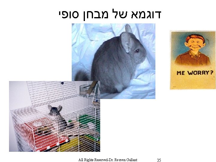  סופי מבחן של דוגמא All Rights Reserved-Dr. Reuven Gallant 35 