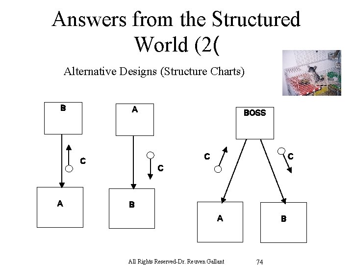 Answers from the Structured World (2( Alternative Designs (Structure Charts) B A C C