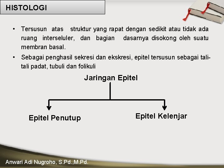 HISTOLOGI • Tersusun atas struktur yang rapat dengan sedikit atau tidak ada ruang interseluler,