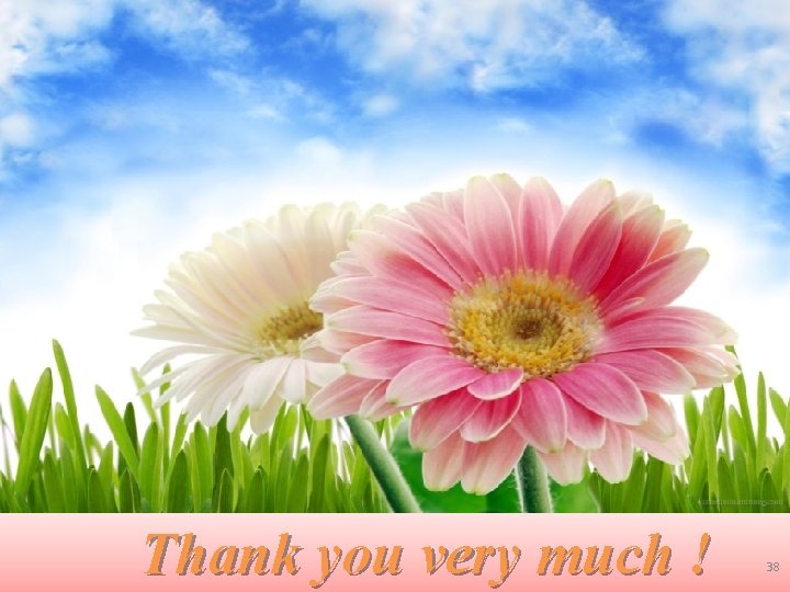 Thank you very much ! 38 