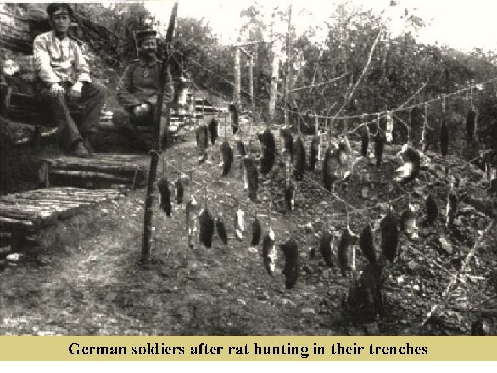 German soldiers after rat hunting in their trenches 