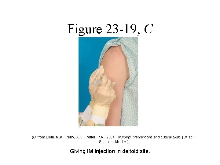 Figure 23 -19, C (C, from Elkin, M. K. , Perry, A. G. , Figure 23 -19, C (C, from Elkin, M. K. , Perry, A. G. ,