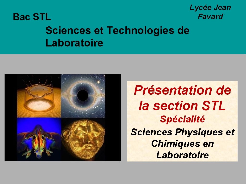 Bac STL Lycée Jean Favard Sciences et Technologies de Laboratoire Présentation de la section