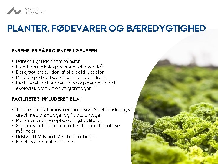 AARHUS UNIVERSITET PLANTER, FØDEVARER OG BÆREDYGTIGHED EKSEMPLER PÅ PROJEKTER I GRUPPEN • • •