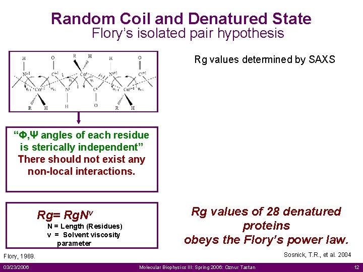 Random Coil and Denatured State Flory’s isolated pair hypothesis Rg values determined by SAXS