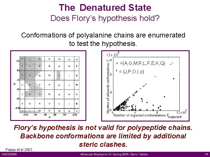 The Denatured State Does Flory’s hypothesis hold? Conformations of polyalanine chains are enumerated to