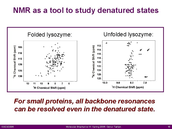 NMR as a tool to study denatured states Folded lysozyme: Unfolded lysozyme: For small