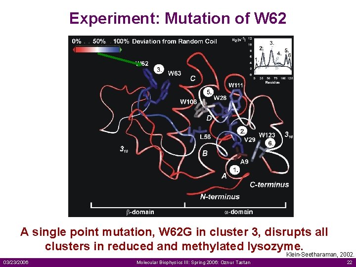 Experiment: Mutation of W 62 A single point mutation, W 62 G in cluster