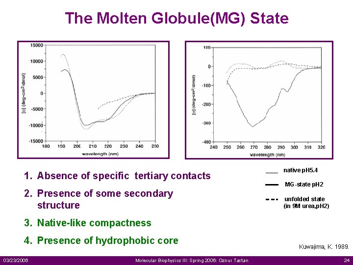 The Molten Globule(MG) State 1. Absence of specific tertiary contacts 2. Presence of some