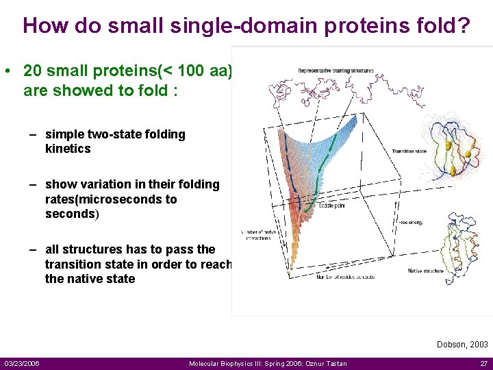 How do small single-domain proteins fold? • 20 small proteins(< 100 aa) are showed