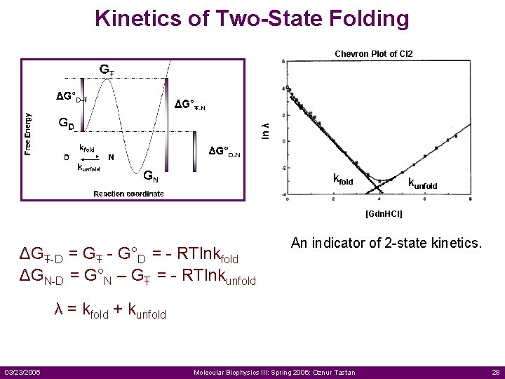 Kinetics of Two-State Folding ln λ Chevron Plot of CI 2 kfold kunfold [Gdn.