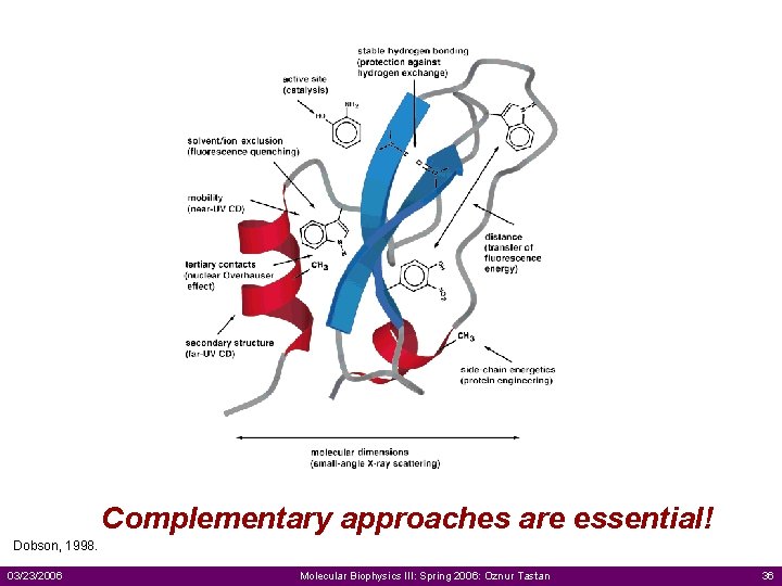 Complementary approaches are essential! Dobson, 1998. 03/23/2006 Molecular Biophysics III: Spring 2006: Oznur Tastan