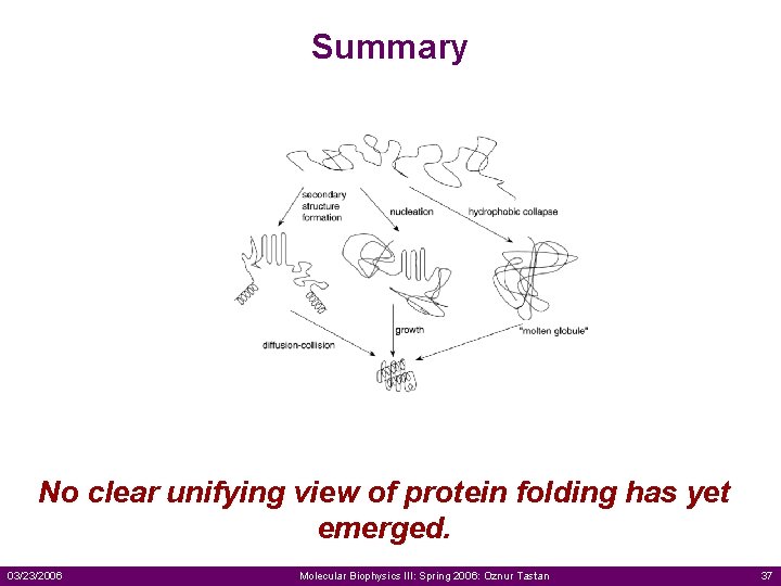 Protein Folding Energetics and Models Oznur Tastan