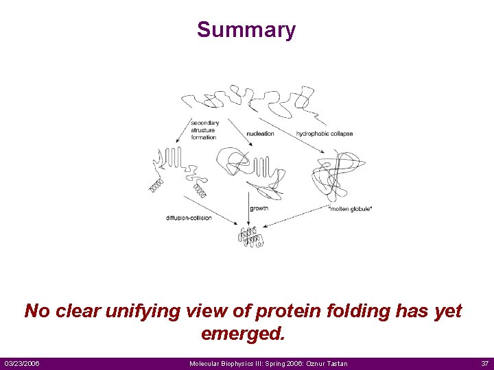 Summary No clear unifying view of protein folding has yet emerged. 03/23/2006 Molecular Biophysics