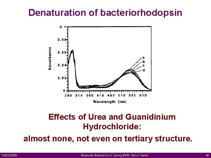 Denaturation of bacteriorhodopsin Effects of Urea and Guanidinium Hydrochloride: almost none, not even on