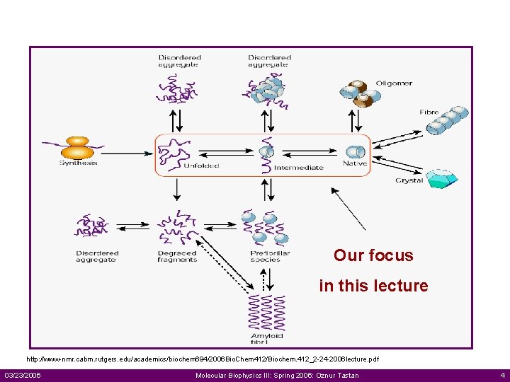 Our focus in this lecture http: //www-nmr. cabm. rutgers. edu/academics/biochem 694/2006 Bio. Chem 412/Biochem.