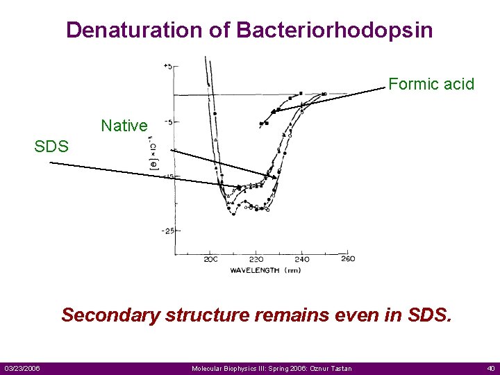 Denaturation of Bacteriorhodopsin Formic acid Native SDS Secondary structure remains even in SDS. 03/23/2006