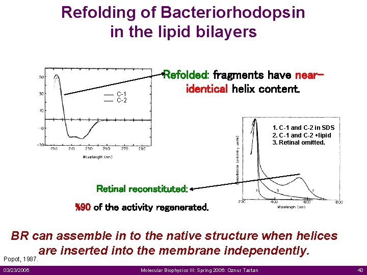 Refolding of Bacteriorhodopsin in the lipid bilayers C-1 C-2 Refolded: fragments have nearidentical helix