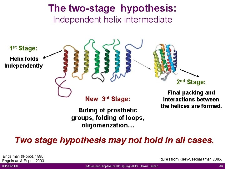 The two-stage hypothesis: Independent helix intermediate 1 st Stage: Helix folds Independently 2 nd
