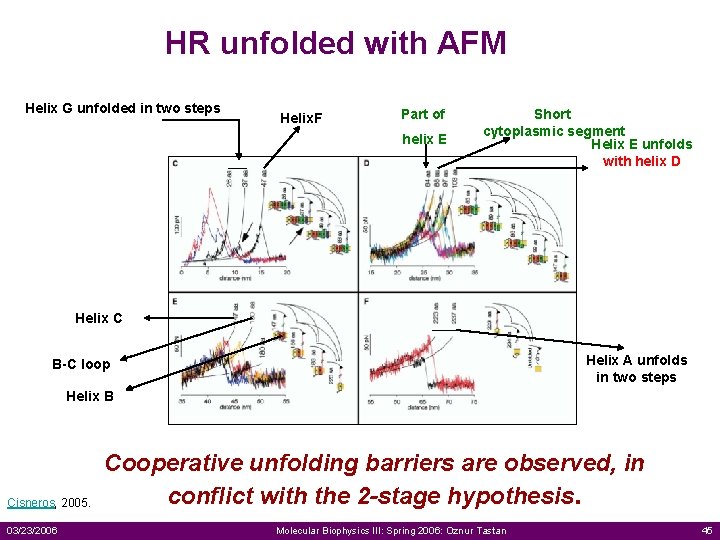 HR unfolded with AFM Helix G unfolded in two steps Helix. F Part of