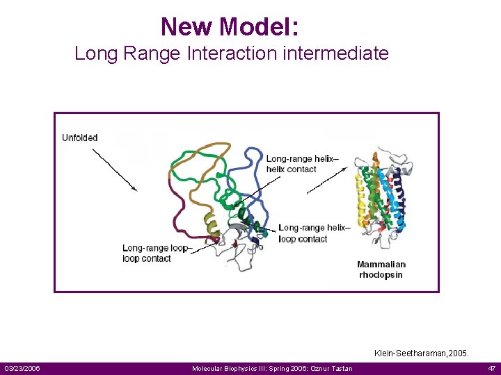 New Model: Long Range Interaction intermediate Klein-Seetharaman, 2005. 03/23/2006 Molecular Biophysics III: Spring 2006: