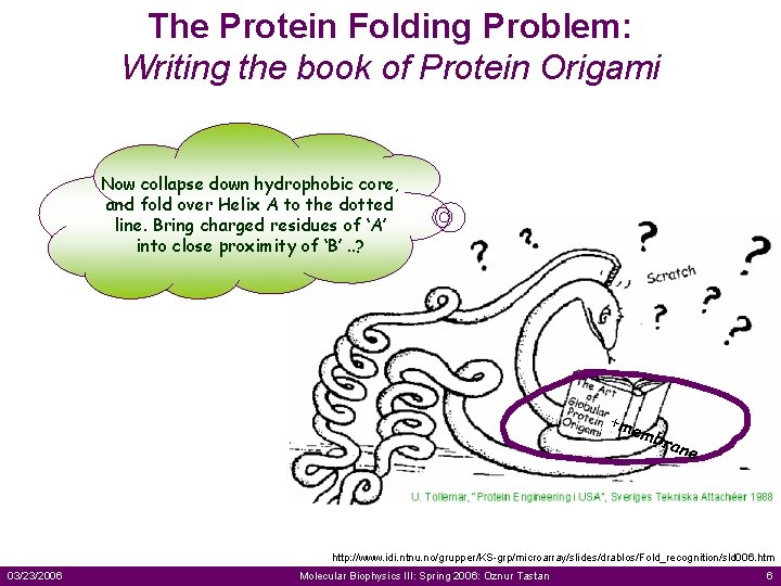 The Protein Folding Problem: Writing the book of Protein Origami Now collapse down hydrophobic