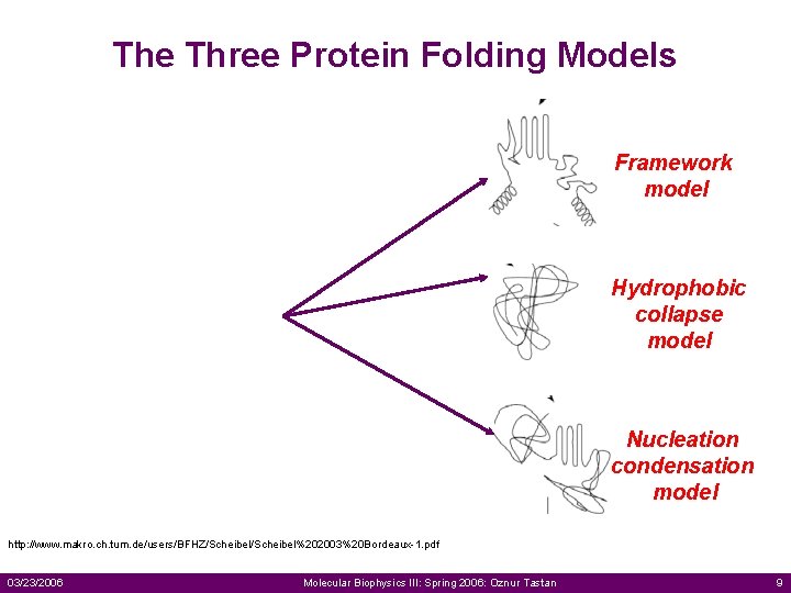 The Three Protein Folding Models Framework model Hydrophobic collapse model Nucleation condensation model http: