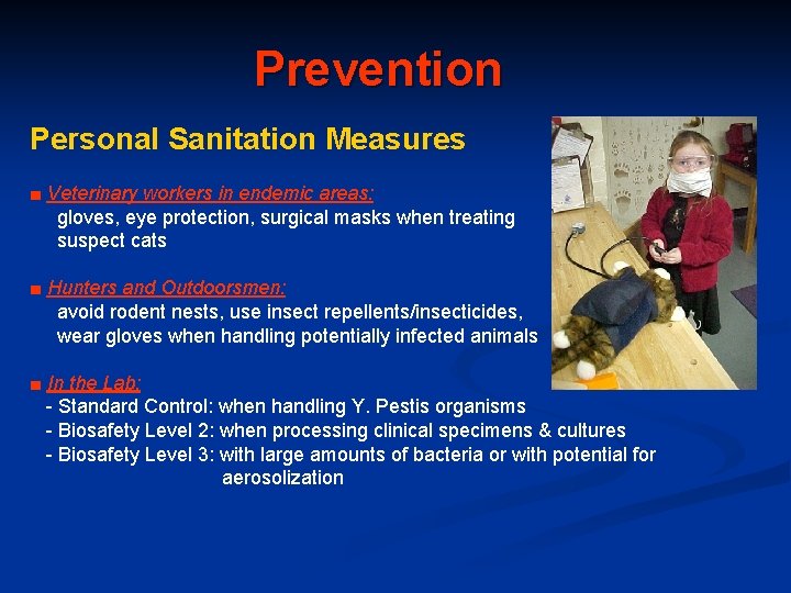 Prevention Personal Sanitation Measures ■ Veterinary workers in endemic areas: gloves, eye protection, surgical