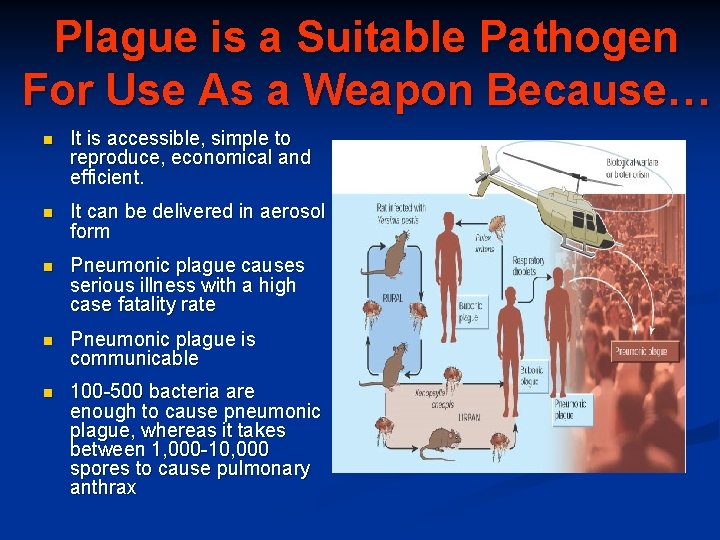 Plague is a Suitable Pathogen For Use As a Weapon Because… n It is