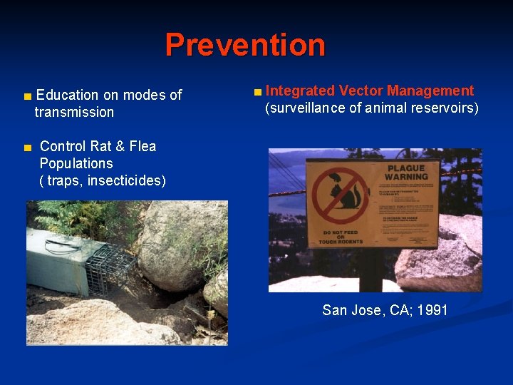 Prevention ■ Education on modes of transmission ■ Integrated Vector Management (surveillance of animal