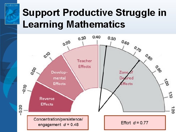 Support Productive Struggle in Learning Mathematics 