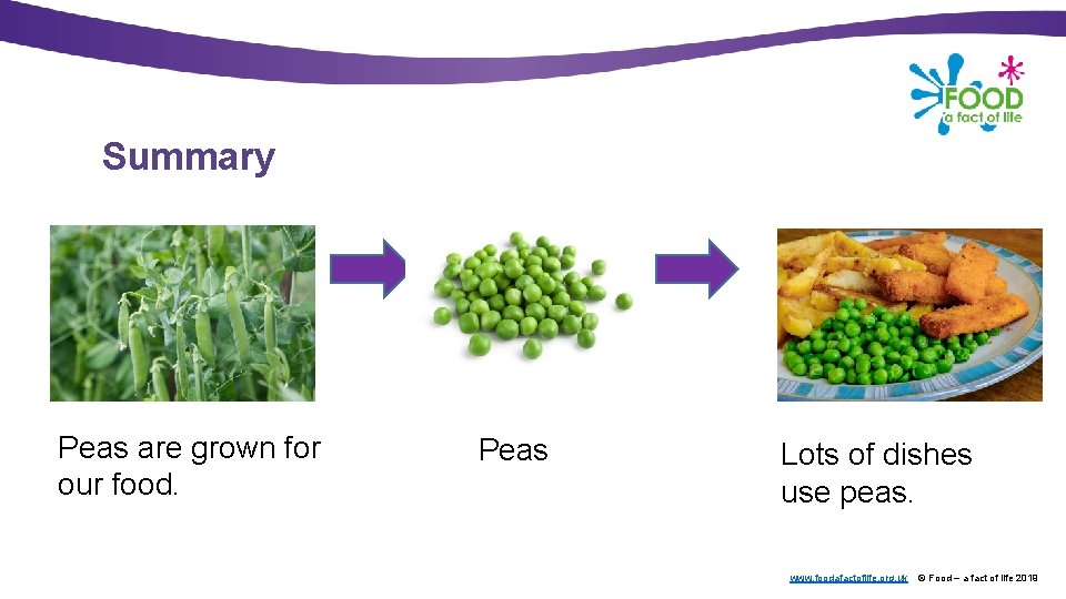Summary Peas are grown for our food. Peas Lots of dishes use peas. www.