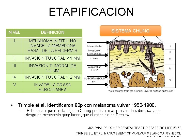 ETAPIFICACION SISTEMA CHUNG NIVEL DEFINICIÓN I MELANOMA IN SITU: NO INVADE LA MEMBRANA BASAL