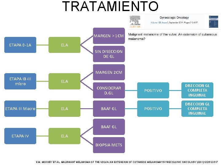 TRATAMIENTO MARGEN > 1 CM ETAPA 0 -1 A ELA SIN DISECCION DE GL