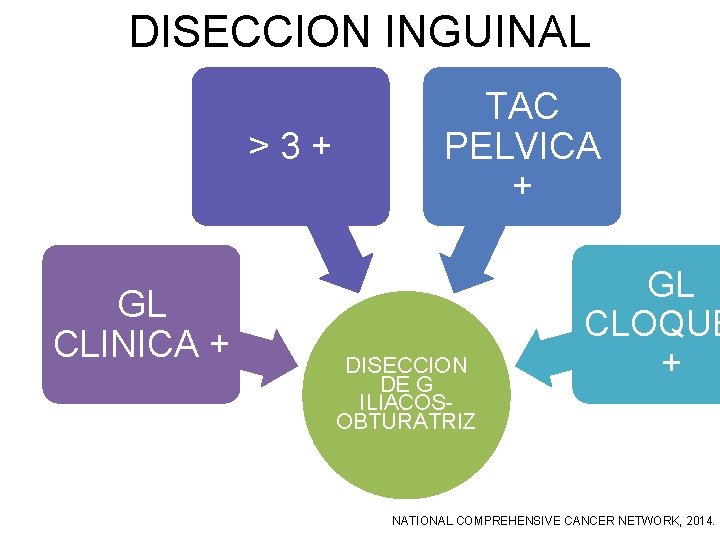 DISECCION INGUINAL >3+ GL CLINICA + TAC PELVICA + DISECCION DE G ILIACOSOBTURATRIZ GL