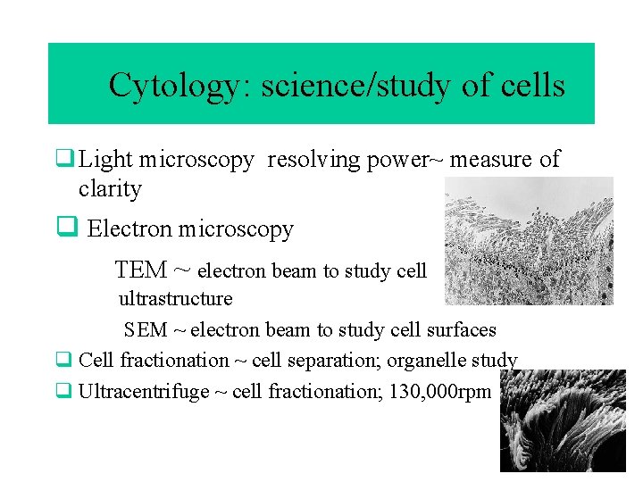 q. Cytology: science/study of cells q Light microscopy resolving power~ measure of clarity q