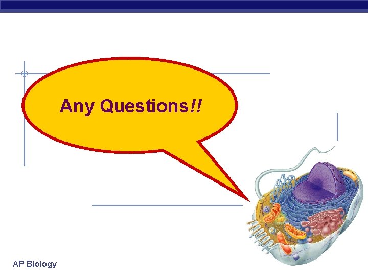 Any Questions!! AP Biology 2007 -2008 