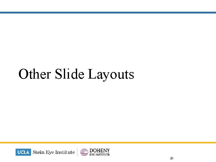 Other Slide Layouts 20 
