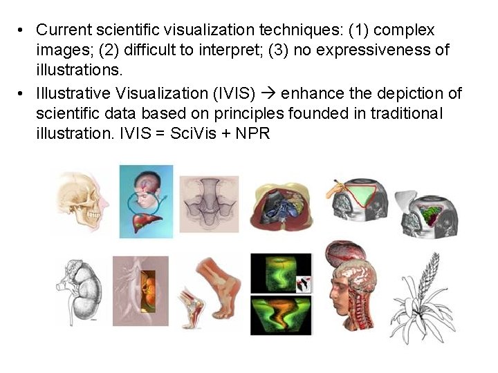  • Current scientific visualization techniques: (1) complex images; (2) difficult to interpret; (3)