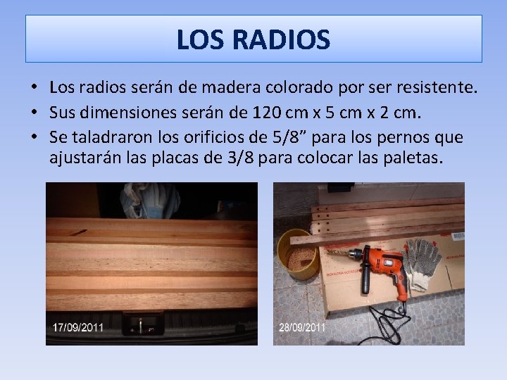LOS RADIOS • Los radios serán de madera colorado por ser resistente. • Sus