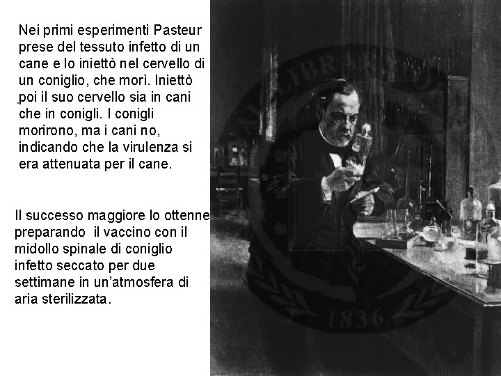 Nei primi esperimenti Pasteur prese del tessuto infetto di un cane e lo iniettò