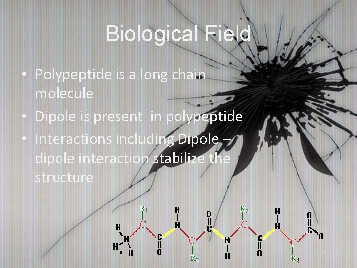 Biological Field • Polypeptide is a long chain molecule • Dipole is present in