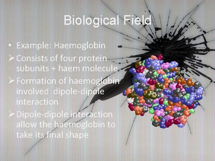Biological Field • Example: Haemoglobin Ø Consists of four protein subunits + haem molecule